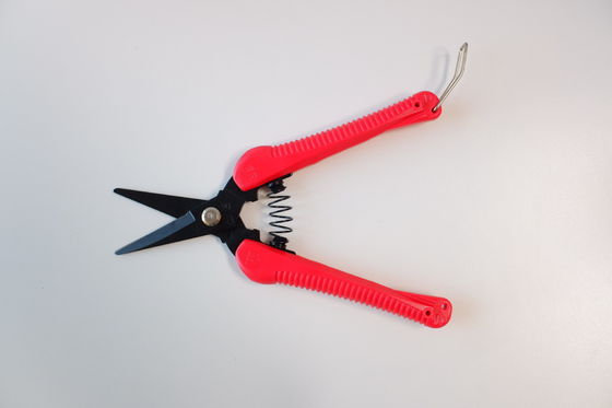 কেনা হার্ডওয়্যার কারুশিল্প কাঁচি সেট কাঁচি তৈরির অ-স্লিপ প্লাস্টিকের হ্যান্ডেল অনলাইনে উৎপাদন