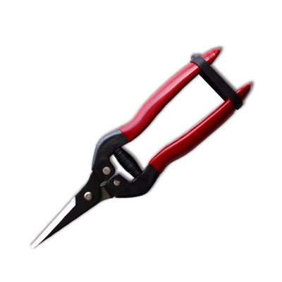 কেনা ব্লেড টিপস উপর ক্ষারীয় কালো রঙ্গক লেপ সঙ্গে SINSEUNG X3 হার্ডওয়্যার কাঁচি অনলাইনে উৎপাদন