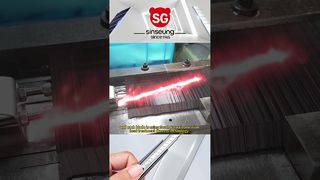 260109 1 সিনসেং ভিডিও