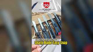 260114-1 সিনসেং ভিডিও