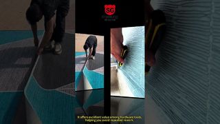 260109 2 সিনসেং ভিডিও